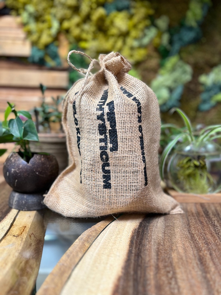Kava Kit